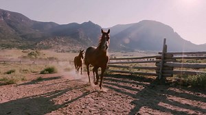 2K views · 56 reactions | It's 10 days of FREE RIDE TV! Thanks to Frontier Communications, you can watch all things equine, for free, starting June 1. Discover your favorite equestrian lifestyle show or stay up-to-date with our live sports coverage. | Great American Faith & Living Network | Facebook