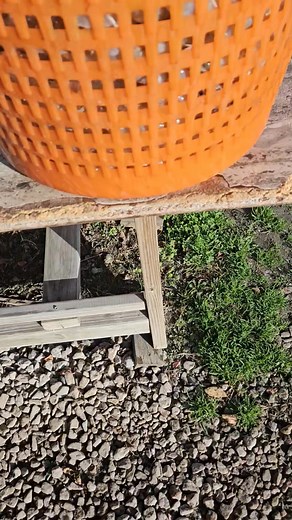 Wayne Mooney on Reels | Facebook