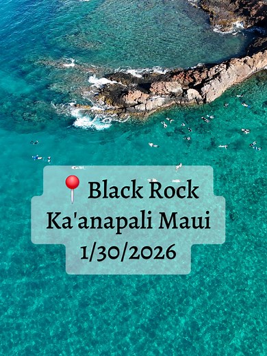 Snorkeling at Black Rock in Ka'anapali Maui