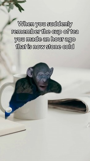 The worst realisation🤦‍♀️ #Meme #funny #capcut #monkey #tea #britishhumour | Picniq