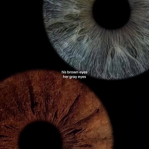 Brown Eyes and Gray Eyes: A Visual Contrast