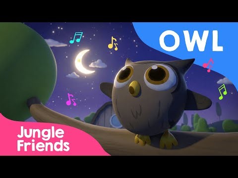 Owl - #4K - Nursery Rhymes and Kids Song with Lyrics