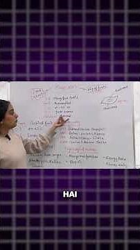 Mango Fruit Structure & Growing Conditions | Epicarp, Mesocarp, Endocarp Explained