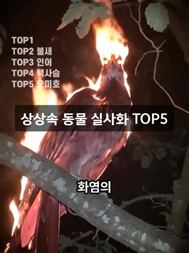 어떤 동물이 가장 신기했나요? @faun.avision