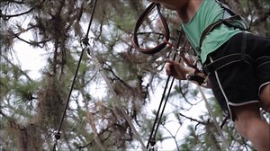 80 reactions · 15 shares | Your next thrill is waiting in the trees! Come play with us! | TreeUmph! Adventure Course | Facebook