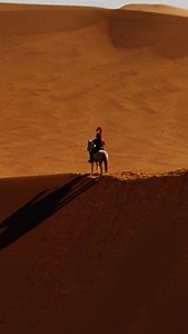 Filmatic - Movies & Cinema | Tarsem Singh’s The Fall (2006): a visually stunning fever dream blending a hospital frame story with an epic fantasy tale—shot over 4 years... | Instagram