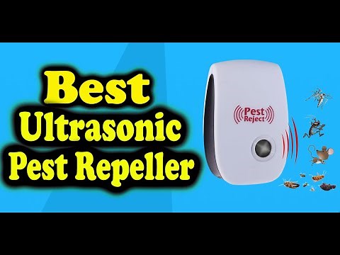 Ultrasonic Pest Repeller Consumer Reports