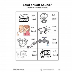 Comprehensive Science Activity Book Year 1 (K1) With Teacher's Guide - Etsy