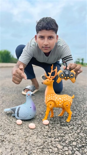 Rc Pigeons Bird and Remote Control Realistic Deer Unboxing