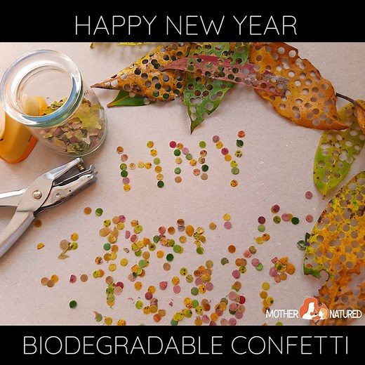 Make a conscious decision to GO GREEN this New Years Eve! Start by making your own biodegradable confetti! https://mothernatured.com/gift-ideas/biodegradable-confetti-diy/ | Mother Natured