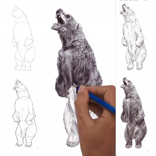 How to draw a standing Grizzly Bear Learn to draw at: veriartcenter.com ... | DRAWING PENCIL