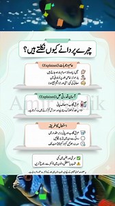 4.3K views · 1.1K reactions | Face Pimples: Common Causes and Simple...