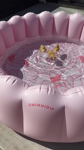 ducks_in_space on TikTok