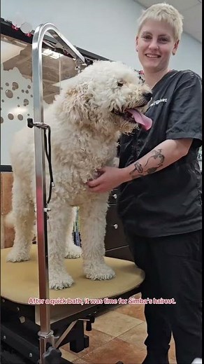 Come along for a day in the life of a PetSmart Stylist 🐾