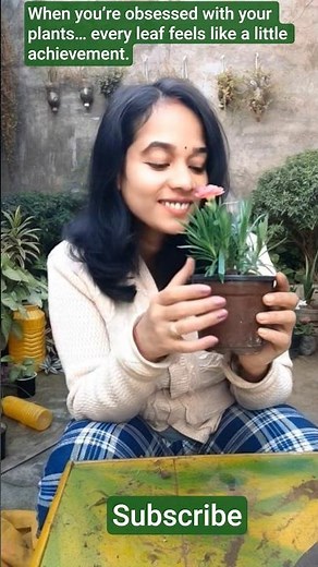 How to Grow Carnations with HUGE Blooms (Tips from a Flower Farmer)