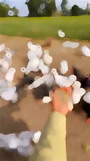 Lal AVN Sanskrit project video cartoon