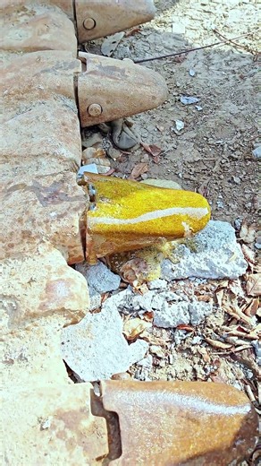 Rust gone in minutes#shorts #facts