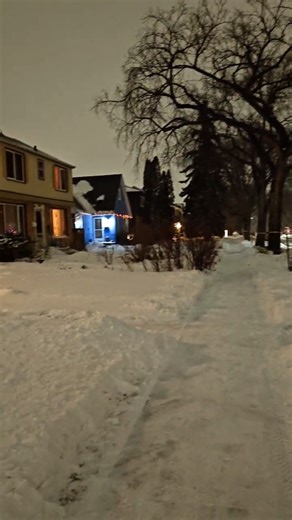 This Is Winnipeg at Night in Winter 😍❄️ | So Peaceful #winnipeg #beautiful #snow #viral #night
