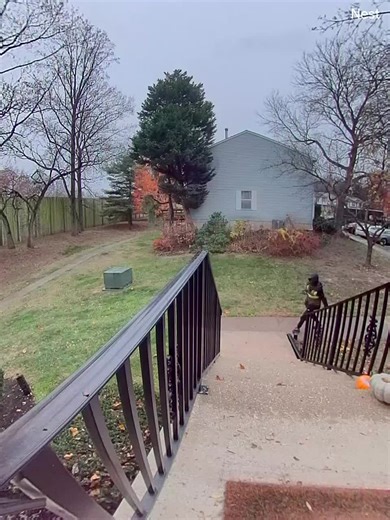 I am truly grateful for the delivery drivers and I understand my package has been tossed around the sorting facility. However I dont except for you to throw it up the stairs 🙄. Leave it on the lower level. I know I’m going to get some hate here but guess what ? It’s my page 😂😂😂#UPS #throwthepackage #Happyholiday#goodtoss#fypシ @UPS