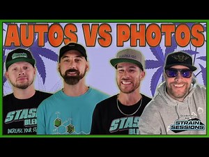 Are Autoflowers Really Worth Growing in 2025? - Seedsman Strain Sessions Ep. 2