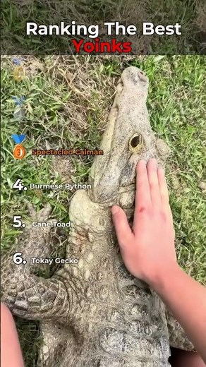 Ranking The Best Yoinks 💀