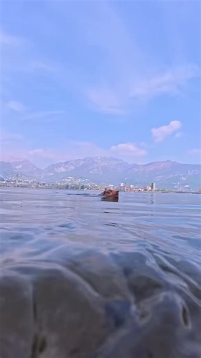 1.9M views · 69K reactions | Countryside Tails on Reels | Facebook