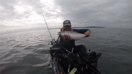 Way to fishing on Instagram: "Que alegría cuando vi esas marcas y en mi mente decia, piquen piquen piquen y picoooo jsjsjsj ahora quede sin porta cañas😂😕maña mia no amarrar las cosas. Lamentablemente después tuve un pique de algo mucho mas grande pero me llevo flasher y cuchara 3 piques en las profundidades y después muchos piques de rollizos #pescaenkayakchile #pescaenkayak #salmonchinook"