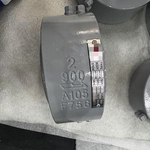 [Hot Item] 2" ANSI 900 A105 Wafer Connection RF Ends Dual Plate Check Valve