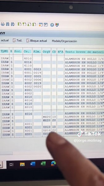 Extensiones de Material en SAP ERP: Cómo Saber a qué Centros y Almacenes Está Asignado