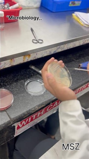 Isolation of Bacteria Using Streak Plate Method.