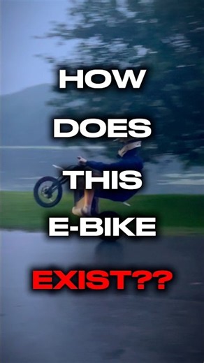 This E-Bike Has a $900 Auto-Wheelie System 🤯