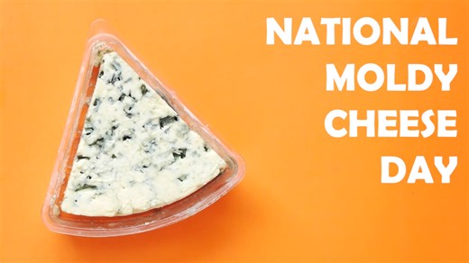 Students in the Digital Video Technology Program at Florida Panhandle Technical College in Chipley, Florida were challenged by Instructor Paul Goulding to create a promotional video celebrating 'National Moldy Cheese Day' on October 9, 2025, as seen in this production by FPTC DVT student David McInnis. | Real Florida Magazine