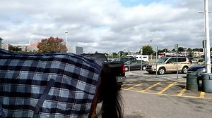 Midnight Hour has arrived at Yonkers Raceway | Yonkers Raceway