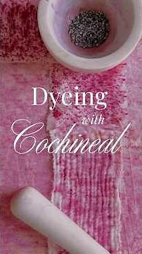 How to Dye Fabric with Cochineal | The Most Intense Natural Dye