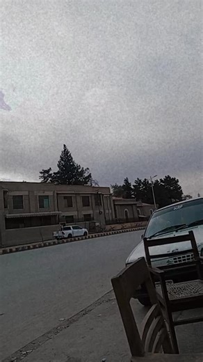 Beautiful green buses 🚎❤️🦅✨