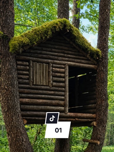 Building a Cozy Bushcraft Treehouse