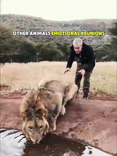 Emotional Animal Reunions Part 1 ❤️🐾