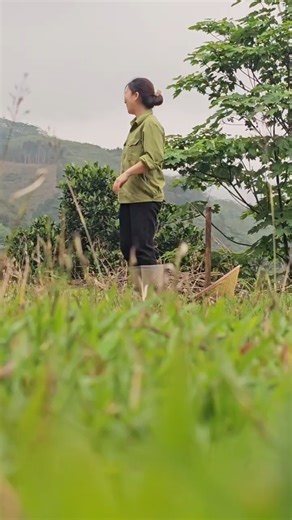 giúp người cùng làng làm nông trại