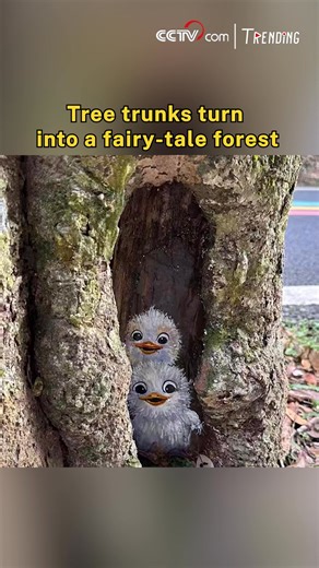 In Jiangxi Province, a local teacher is turning hollow tree trunks into works of art. With vibrant animal paintings peeking out from the bark, the once ordinary forest now feels like a living fairy-tale world. #Trending #ChinaFace | CCTV