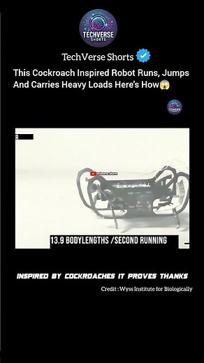 This Tiny Cockroach Inspired Robot Runs Like A Cheetah#shorts#innovation