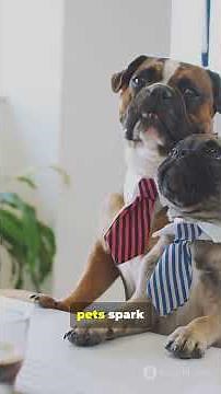 Why Every Tech Office Needs a Pet (Science-Backed!)