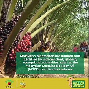 32K views · 467 reactions | Malaysia produces certified sustainable...