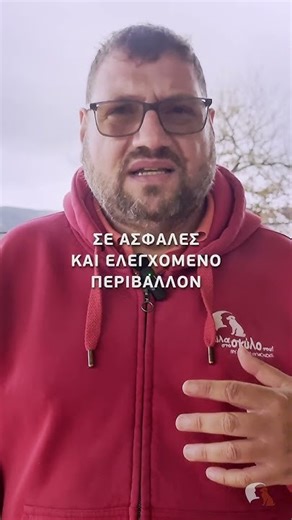 Σημάδια επιθετικότητας στους σκύλους