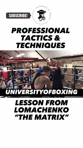 Professional Boxing Tactics & Techniques by Lomachenko