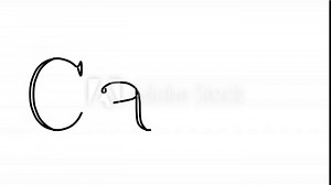 Camo Animated Handwriting Text in Serif Fonts and Weights