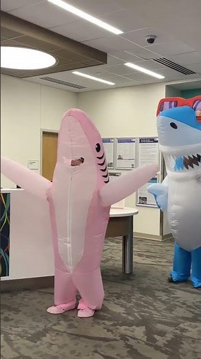 Dive into Five: Magnet appraisers arrive for site visit