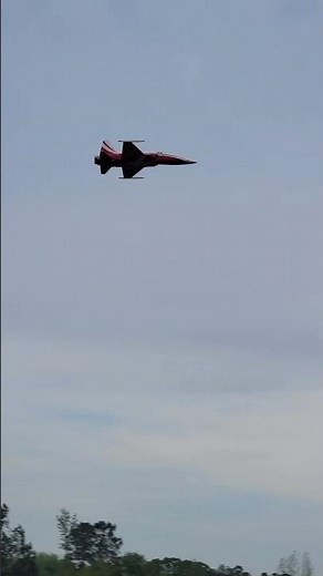 😵Jaw-Droppingly Fast RC JET! This Freewing F-5 Tiger II High Performance 80mm EDF JET #rcplane #edf