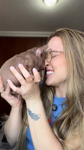 Edição Buchinho Cheio: Uma Experiência Única