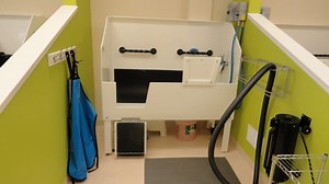 Wash Your Car and Dog at the Same Time, Same Place