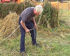 36K views · 183 reactions | Here's a clip from one of our farming videos, plz visit our YouTube channel if you want to watch more of these type of videos. | Videos of Irish Farming Life | Facebook